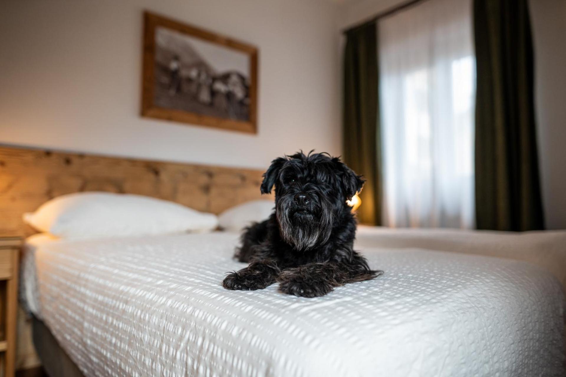 Hotel Panda Cortina- Ricarica Auto Elettriche กอร์ตินาดัมเปซโซ ภายนอก รูปภาพ